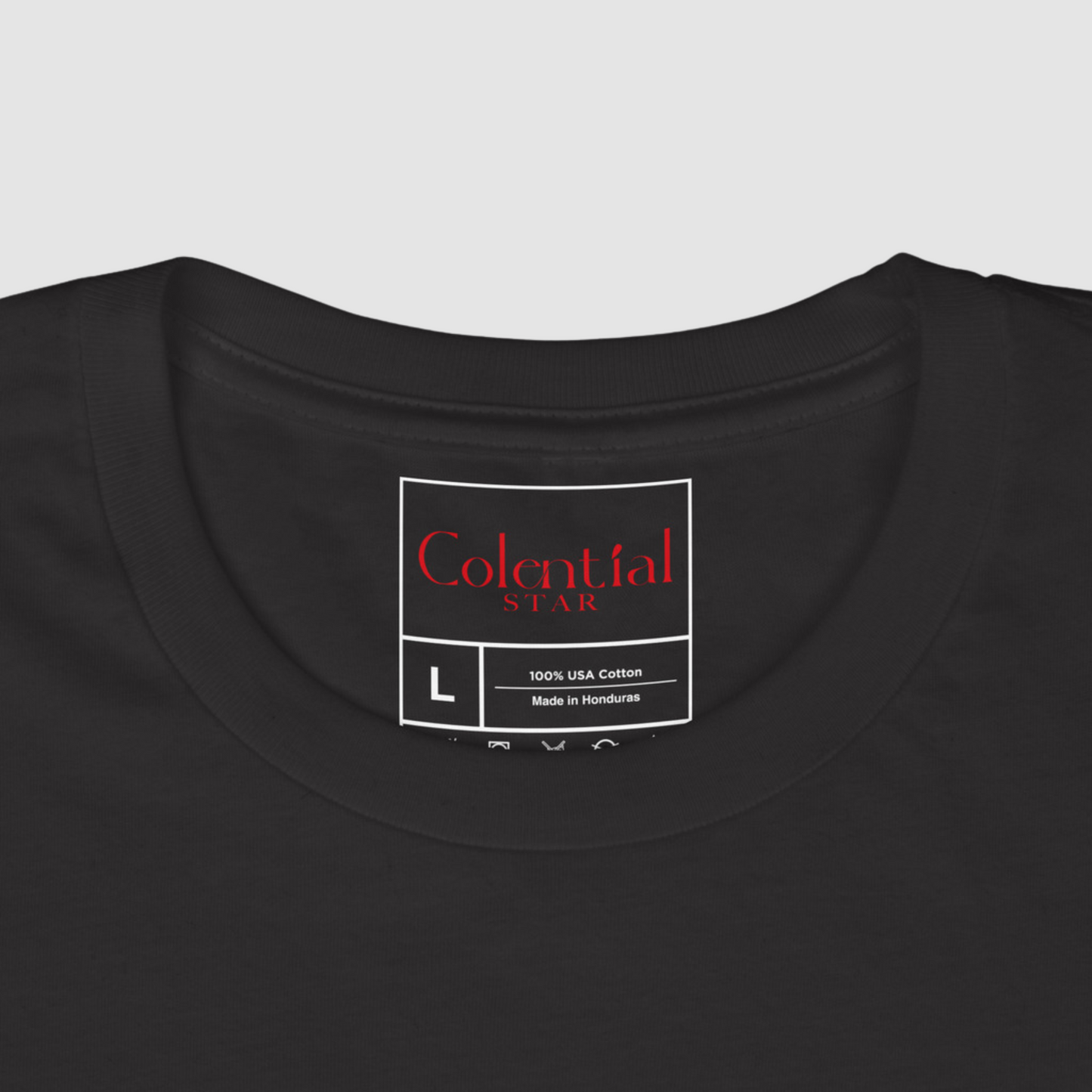 Colential Max Heavyweight Graphic T-shirt - S013W