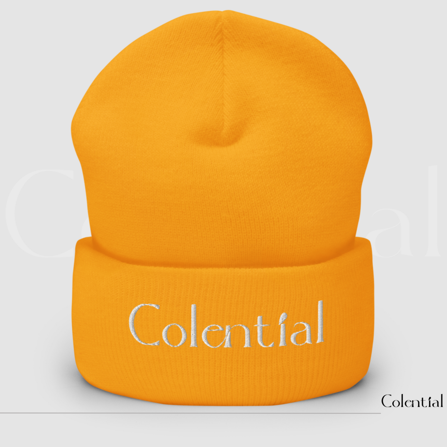 Colential Cuffed Beanie - CR901