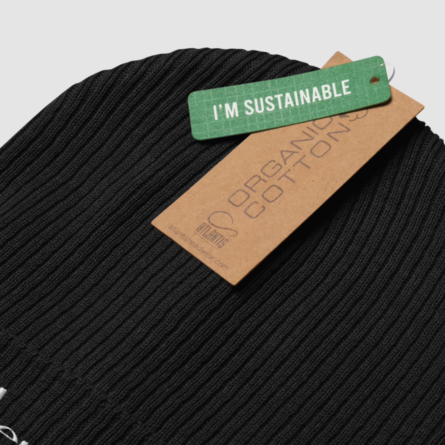 Colential Embroidered Organic ribbed beanie - CR900