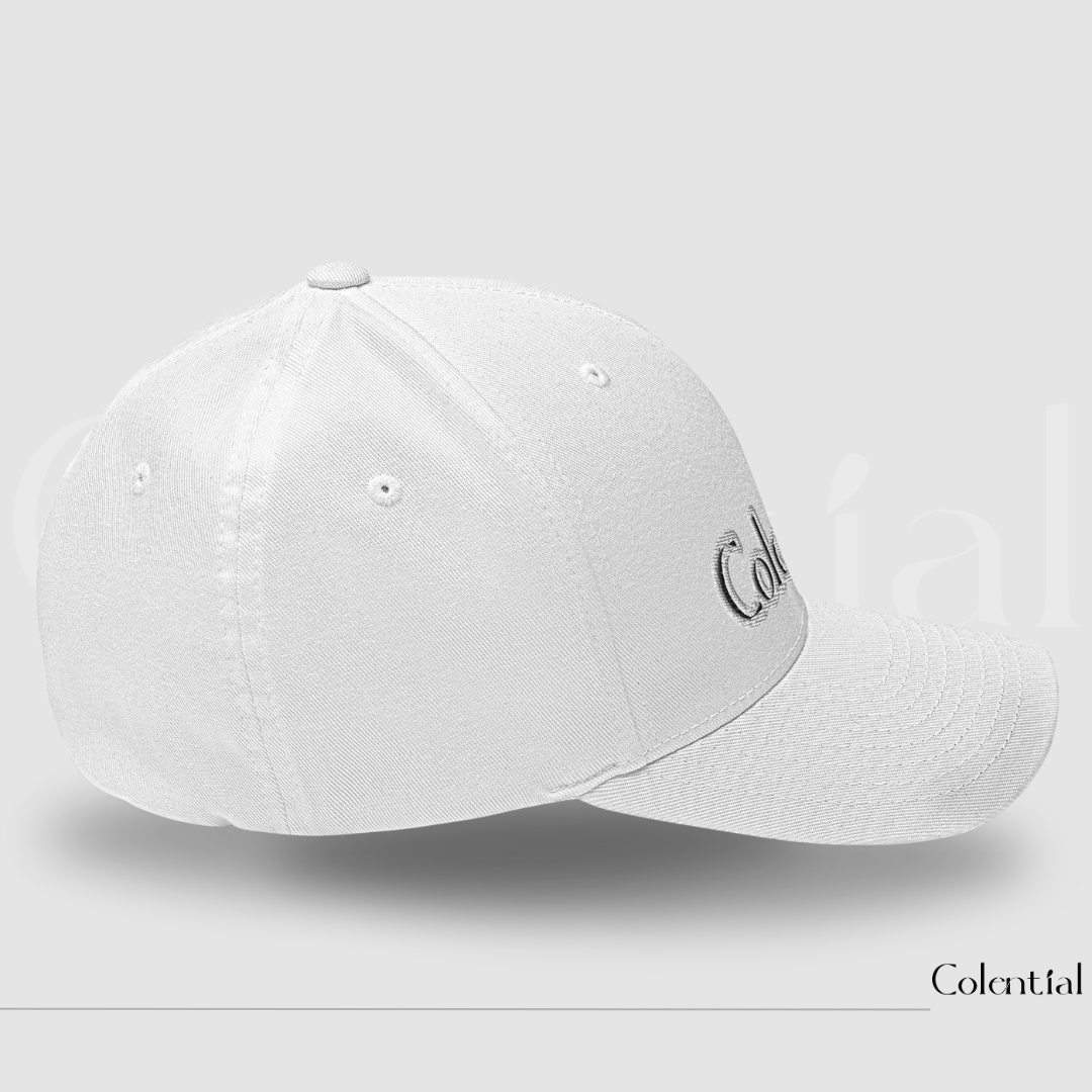 Colential Embroidered Twill Cap - CW810