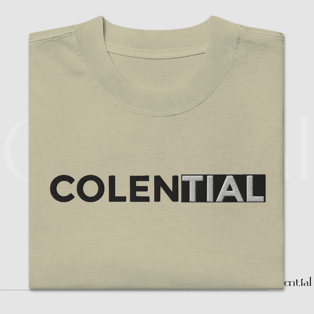 Colential Oversized Embroidered Faded T-shirt - TD005